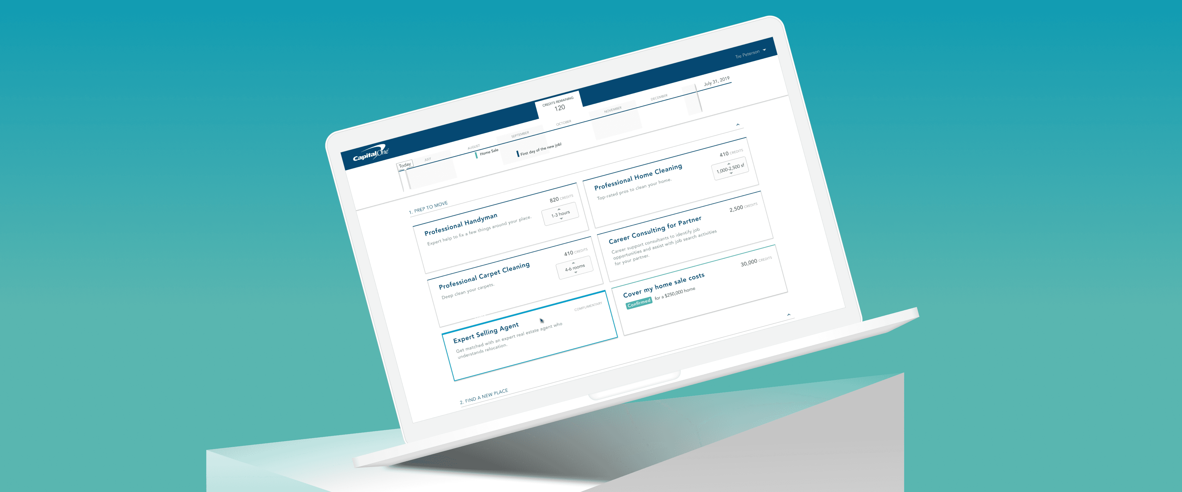 Leading the Design of a Category-Defining Product